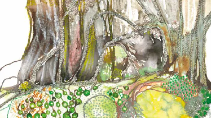 L’initiative mangrove au forum du PRCM