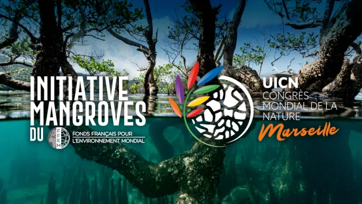 L’initiative mangroves au congrès mondial de la nature (UICN, 2021)