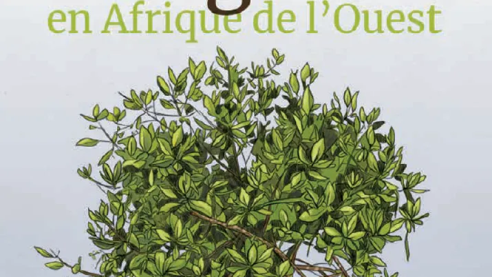 A la découverte des mangroves d’Afrique de l’ouest : manuel d’éducation à l’environnement