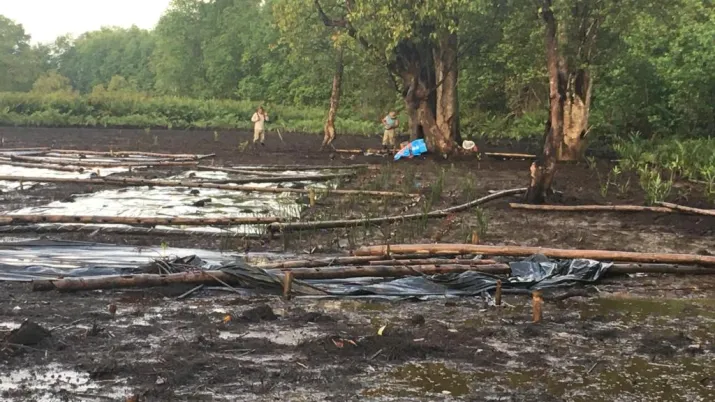 Projet Costa-Rica Bénin : rapport d’activités 2019