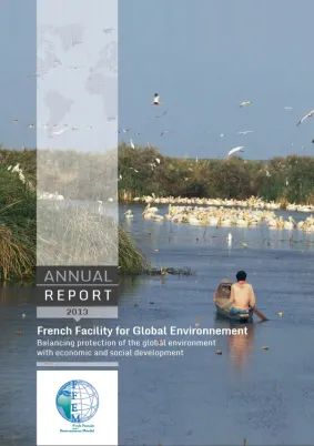 FFEM Annual Report 2013