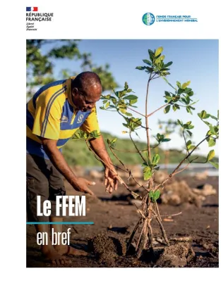 Le FFEM en bref 
