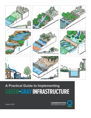 Guide pratique des infrastructures vertes et grises