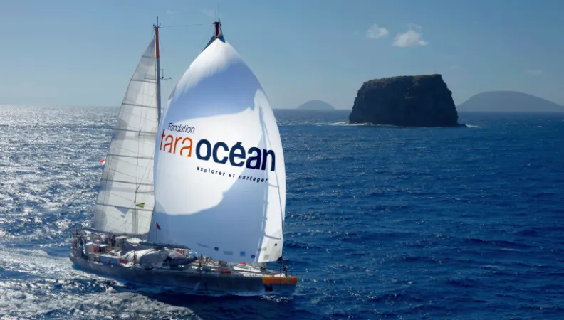 Tara évènement Plancton océanique 