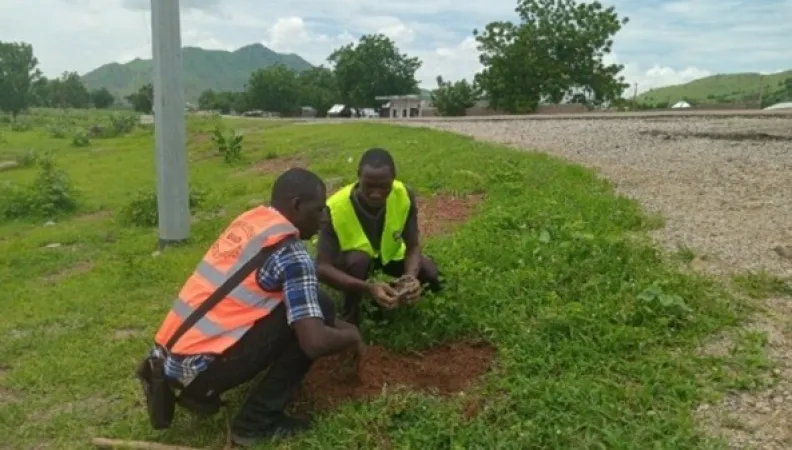 Reboisement sites publics ville Maroua_Cameroun
