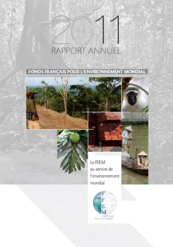 Rapport annuel 20121