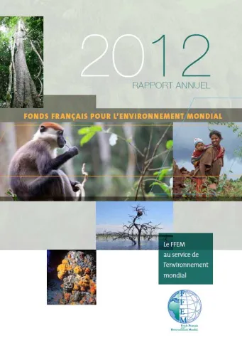 Rapport annuel 2012