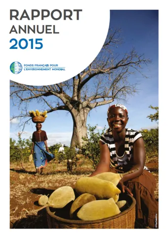 visuel-rapport-annuel-2015