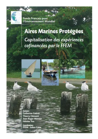 Couv AMP_Resume_executif