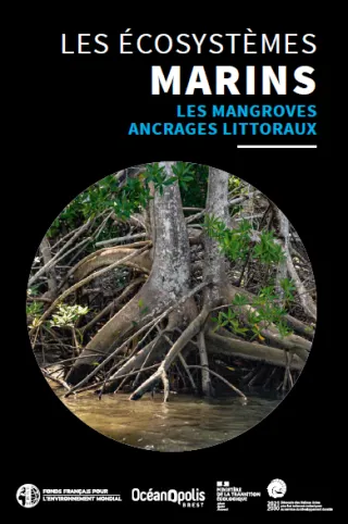 Nouveau guide sur les mangroves