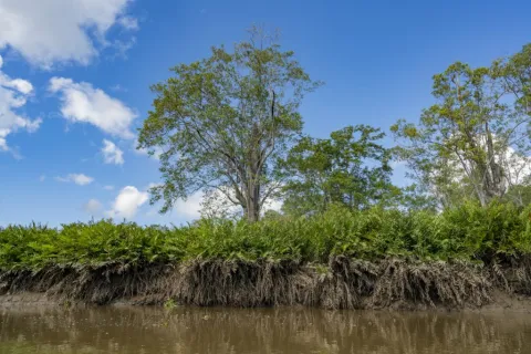 site de Chomes, Puntarenas