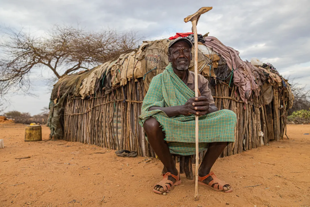 Eléphants au Kenya ( Projet Corridor - Connectivité)